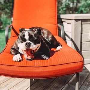 Meet your Posher, Joseph